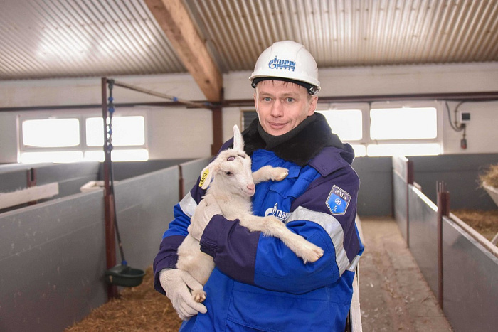 В Куменах на газ перевели козоводческую ферму.