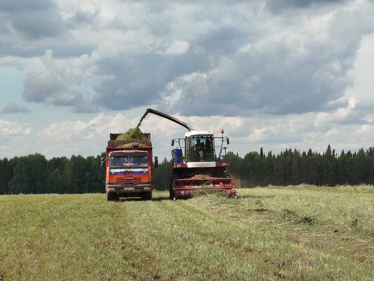 В хозяйствах района полным ходом проходит кормозаготовительная кампания.