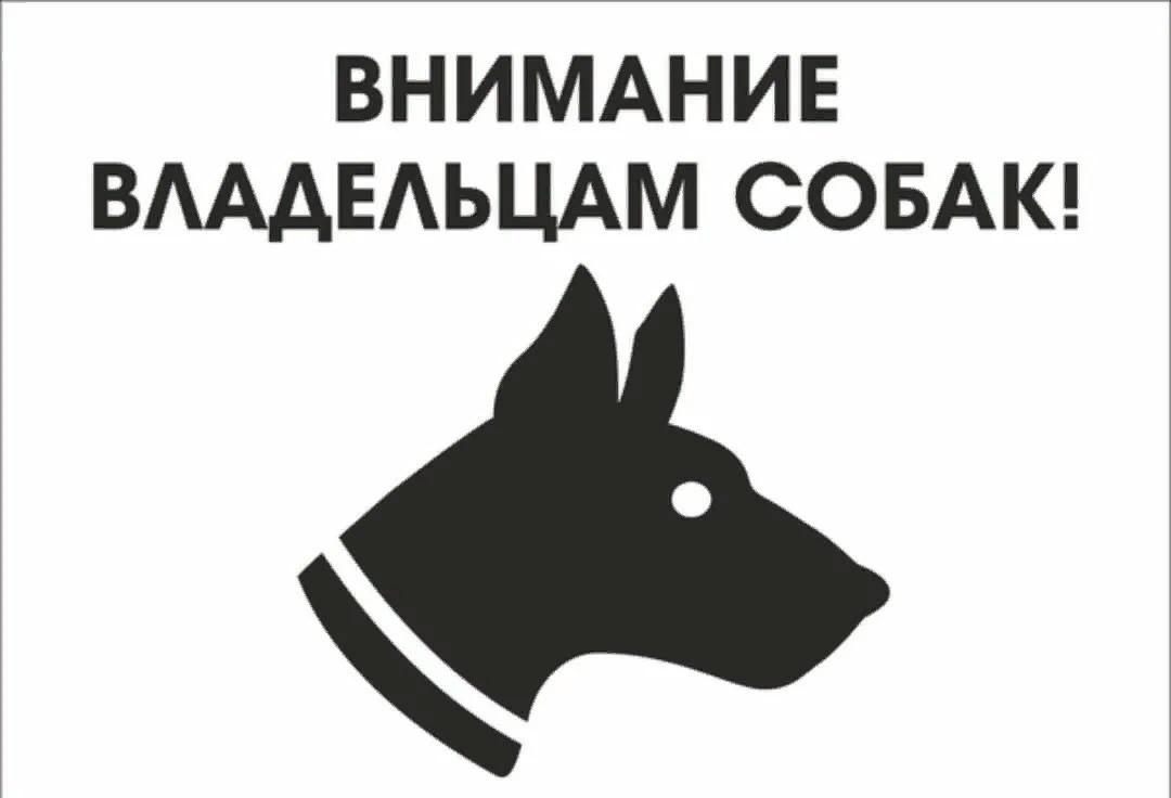 Памятка о выгуле собак.