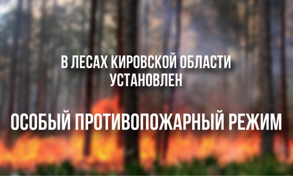 В лесах Кировской области установлен особый противопожарный режим.. В лесах Кировской области установлен особый противопожарный режим..