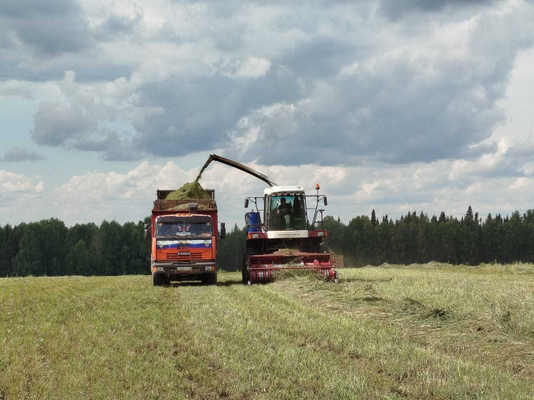 В хозяйствах района полным ходом проходит кормозаготовительная кампания. В хозяйствах района полным ходом проходит кормозаготовительная кампания.