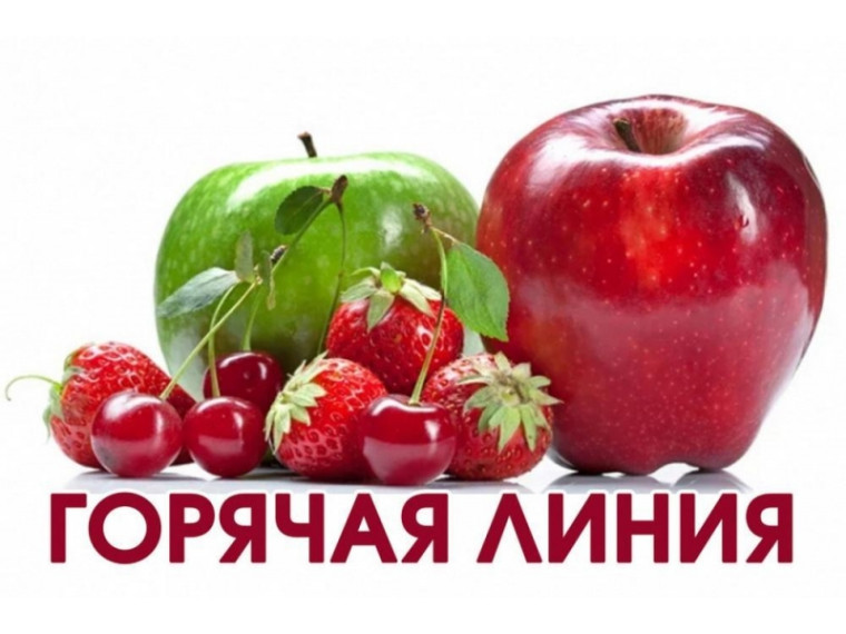 О проведении «Горячей линии» по вопросам качества и безопасности плодоовощной продукции и срокам годности. О проведении «Горячей линии» по вопросам качества и безопасности плодоовощной продукции и срокам годности.