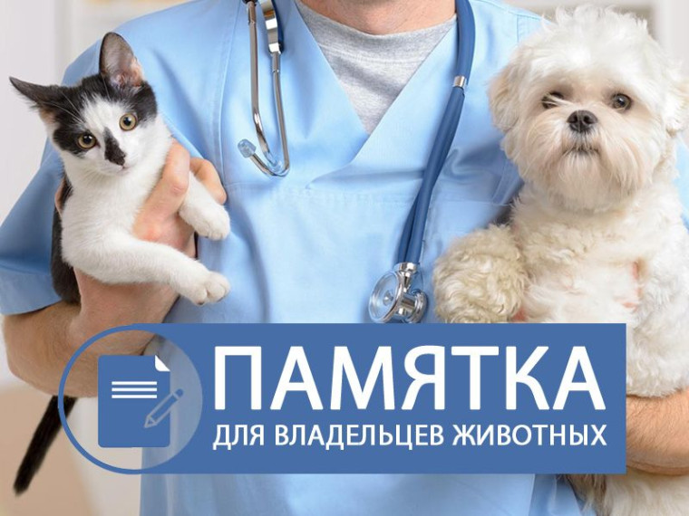 Памятка для владельцев домашних животных. Памятка для владельцев домашних животных.