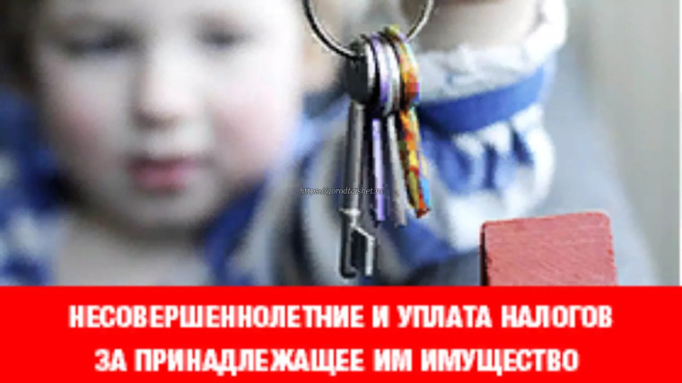 Родился и сразу налогоплательщик: как родителям платить имущественные налоги за детей. Родился и сразу налогоплательщик: как родителям платить имущественные налоги за детей.
