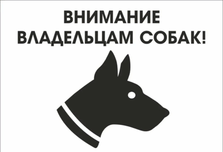 Памятка о выгуле собак. Памятка о выгуле собак.