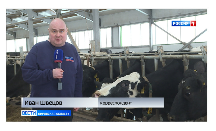 В Куменском районе выявлена корова-рекордсменка. В Куменском районе выявлена корова-рекордсменка.